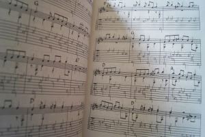 Lohnnie Johnson - Masters of Country Blues Guitar (mit CD) Songbook Notenbuch Vocal Guitar