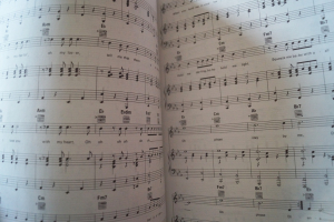 Paul Anka - The Very Best of Songbook Notenbuch Piano Vocal Guitar PVG