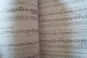 Hole - Celebrity Skin Songbook Notenbuch Vocal Guitar