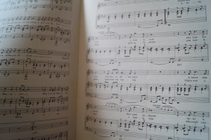 Neil Sedaka - Hot Songs Songbook Notenbuch Piano Vocal Guitar PVG