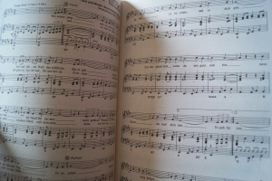 Flippers, Die - Band 5 Songbook Notenbuch Piano Vocal