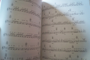 Nek - Lei gli amici e... Songbook Notenbuch Vocal Guitar