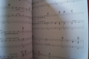 Blake Shelton - Sheet Music Collection Songbook Notenbuch Piano Vocal Guitar PVG