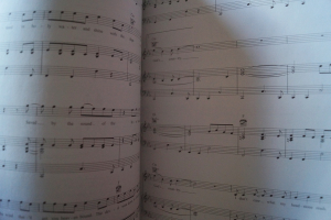 Blake Shelton - Sheet Music Collection Songbook Notenbuch Piano Vocal Guitar PVG