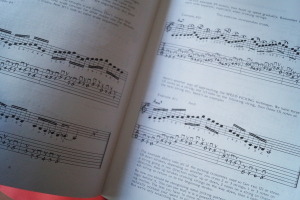 Frank Gambale - Speed Picking for Guitar (mit Audiocode) Notenbuch Guitar