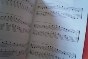 Frank Gambale - Speed Picking for Guitar (mit Audiocode) Notenbuch Guitar