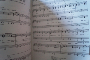 Garth Brooks - No Fences Songbook Notenbuch Piano Vocal Guitar PVG