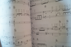 Carlos Gardel - The Best of Tangos Songbook Notenbuch Piano Vocal Guitar PVG