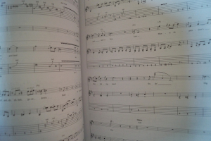 Jimi Hendrix - Smash Hits Songbook Notenbuch Vocal Guitar