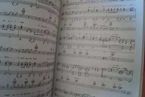 Ultimate Romantic Showstoppers Songbook Notenbuch Piano Vocal Guitar PVG