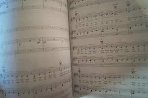 Ariana Grande - Thank U Next Songbook Notenbuch Piano Vocal Guitar PVG