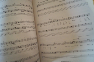 Buddy Holly - Songbook Songbook Notenbuch Vocal Bass