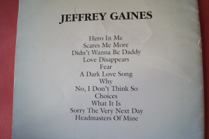 Jeffrey Gaines - Jeffrey Gaines Songbook Notenbuch Piano Vocal Guitar PVG