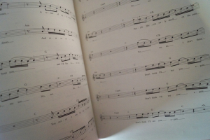 Jeffrey Gaines - Jeffrey Gaines Songbook Notenbuch Piano Vocal Guitar PVG