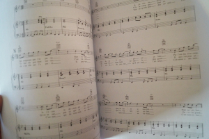 Balavoine - L´Essential Songbook Notenbuch Piano Vocal Guitar PVG