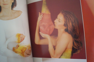 Celine Dion & Anne Geddes - A Celebration of New Life Songbook Notenbuch Piano Vocal Guitar PVG