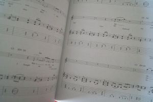 David Lee Roth - Guitar Play along (mit CD) Songbook Notenbuch Vocal Guitar