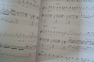 David Lee Roth - Guitar Play along (mit CD) Songbook Notenbuch Vocal Guitar