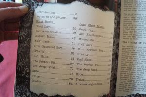 Dresden Dolls - The Dresden Dolls Companion Songbook Notenbuch Piano Vocal Guitar PVG