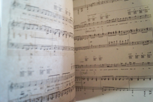 Dresden Dolls - The Dresden Dolls Companion Songbook Notenbuch Piano Vocal Guitar PVG