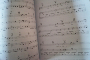 Ed Sheeran - Subtract Songbook Notenbuch Piano Vocal Guitar PVG