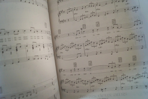 Eddy Mitchell - Grands Succès Songbook Notenbuch Piano Vocal Guitar PVG