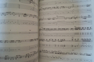 Neil Young - Classic Volume 2 Songbook Notenbuch Vocal Guitar