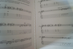 Peter Green - Instant Green Songbook Notenbuch Guitar