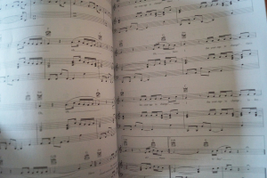 Pink - Hurts 2B Human Songbook Notenbuch Piano Vocal Guitar PVG