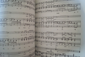 George & Ira Gershwin - The Genius of Songbook Notenbuch Piano Vocal Guitar PVG