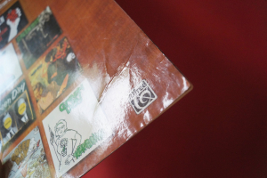 Green Day - Favorites to Strum and Sing Songbook Vocal Guitar Chords