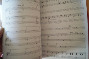 Indigo Girls - Swamp Ophelia Songbook Notenbuch Piano Vocal Guitar PVG