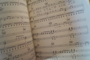 Jackson Browne - Lives in the Balance Songbook Notenbuch Piano Vocal Guitar PVG