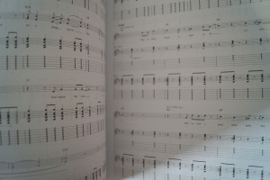 Ray La Montagne - Gossip in the Grain Songbook Notenbuch Vocal Guitar