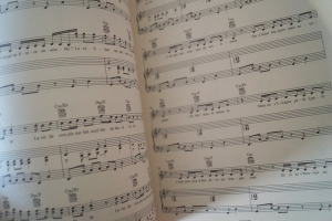 Stromae - Multitude Songbook Notenbuch Piano Vocal Guitar PVG