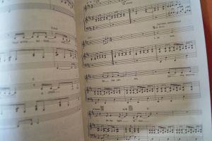 Vineyard Worship - Hungry Songbook Notenbuch Piano Vocal Guitar PVG