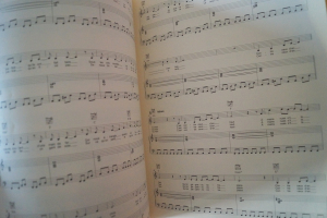 Le Roi Soleil Songbook Notenbuch Piano Vocal Guitar PVG