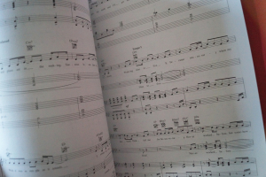 9 to 5 Musical Songbook Notenbuch Piano Vocal Guitar PVG