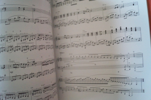 Emily Bear - Diversity Songbook Notenbuch Piano