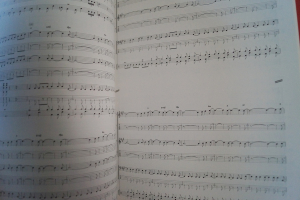 Thin Lizzy - Dedication The Very Best Songbook Notenbuch für Bands (Transcribed Scores)