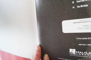 John Denver - Guitar Play along (mit Audiocode) Songbook Notenbuch Vocal Guitar