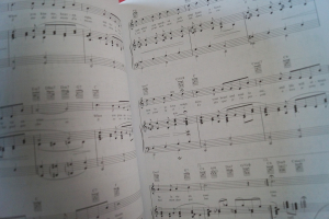 40 Jazz Standards Songbook Notenbuch Piano Vocal Guitar PVG