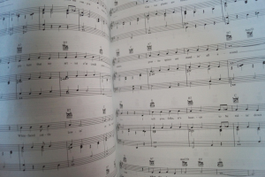 Cowboy Songs Songbook Notenbuch Piano Vocal Guitar PVG