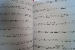 101 Hit Songs Songbook Notenbuch Viola