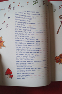 Kinderlieder aus der guten alten Zeit Songbook Notenbuch Vocal Guitar