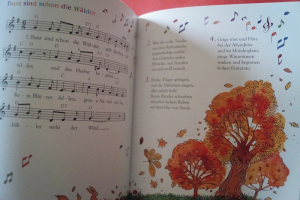 Kinderlieder aus der guten alten Zeit Songbook Notenbuch Vocal Guitar