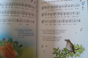 Kinderlieder aus der guten alten Zeit Songbook Notenbuch Vocal Guitar