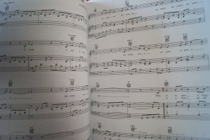 The Big Book of Contemporary Christian Favorites (2nd Edition) Songbook Notenbuch Piano Vocal Guitar PVG