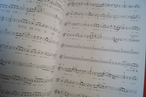 More Piano Ballads Songbook Notenbuch Piano Vocal