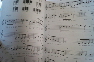 Broadway (Super Easy Songbook) Songbook Notenbuch Easy Piano Vocal